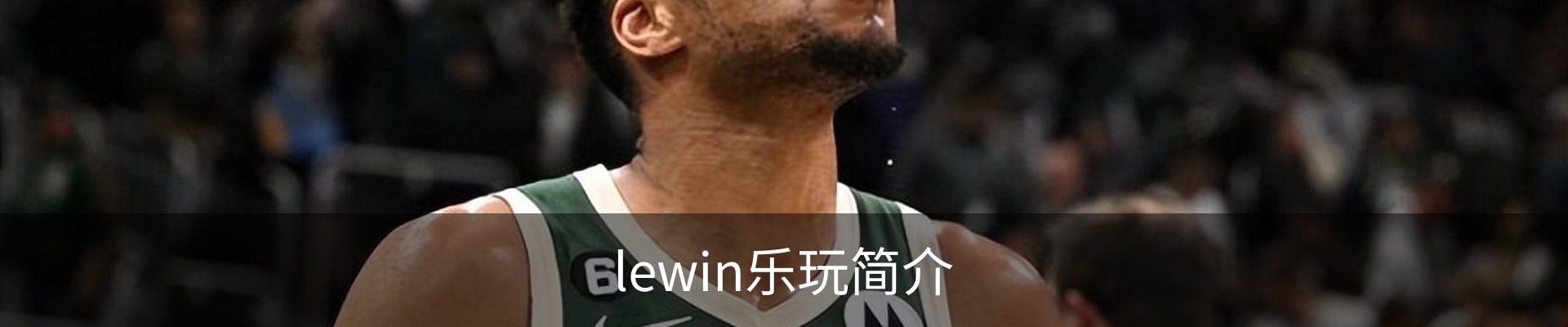 lewin乐玩简介